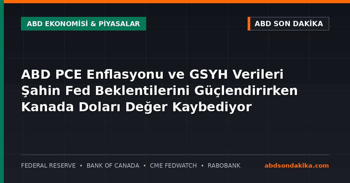 ABD Doları ve Kanada Doları döviz kuru grafiklerini inceleyen yatırımcılar